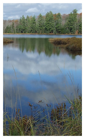 Lake reflections