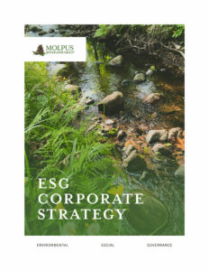 ESG Corporate Strategy cover image