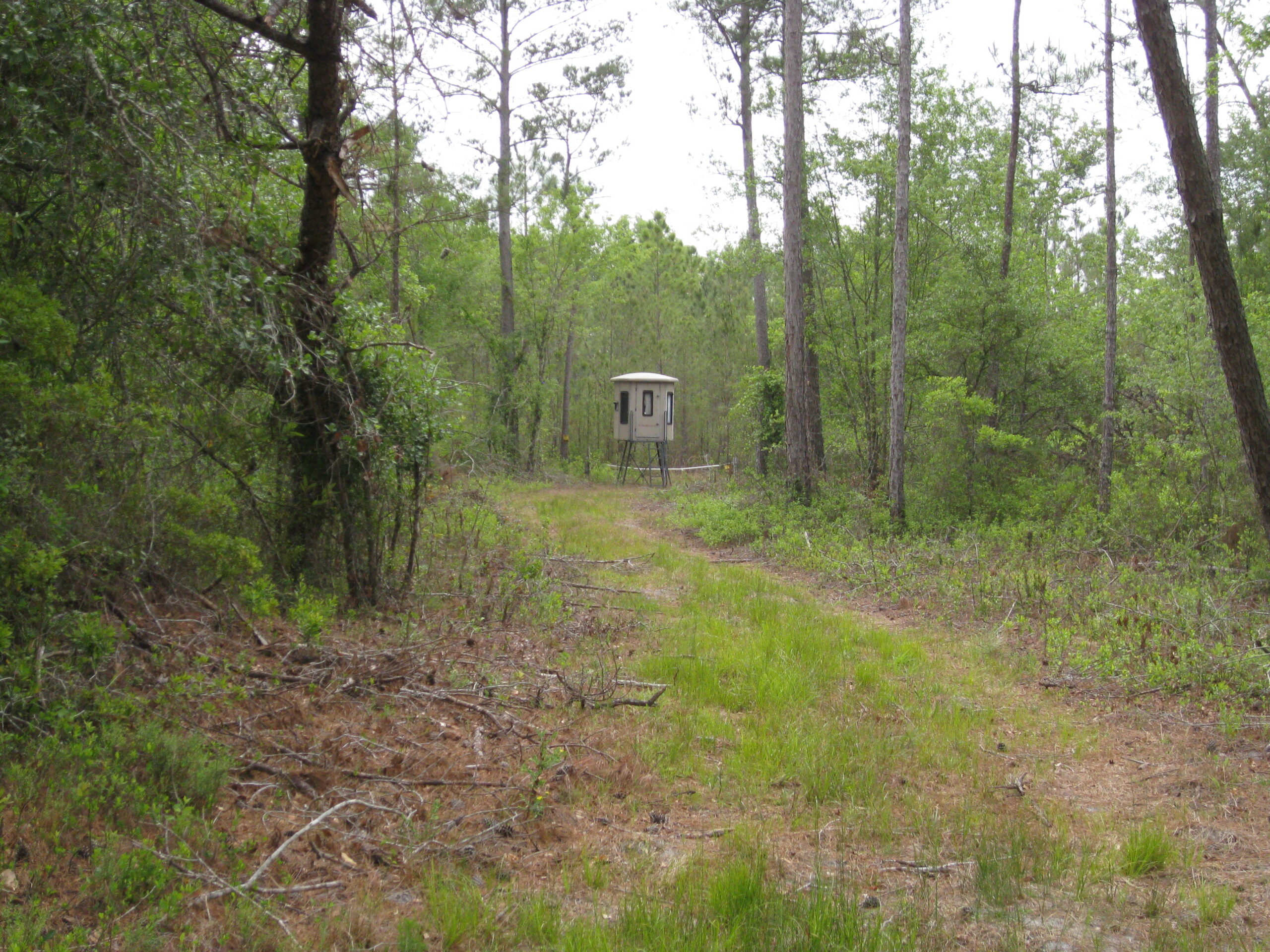 Tract image