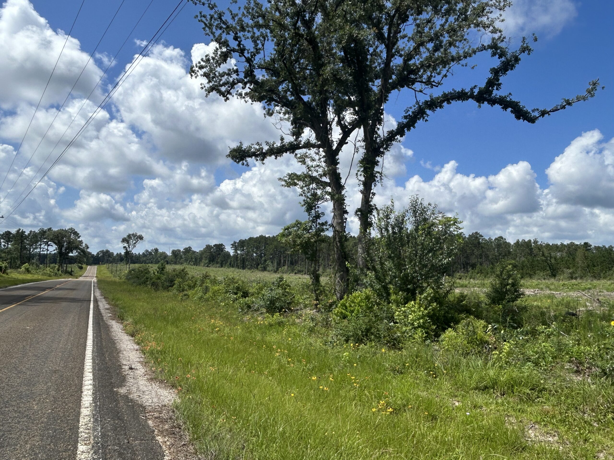 Tract image