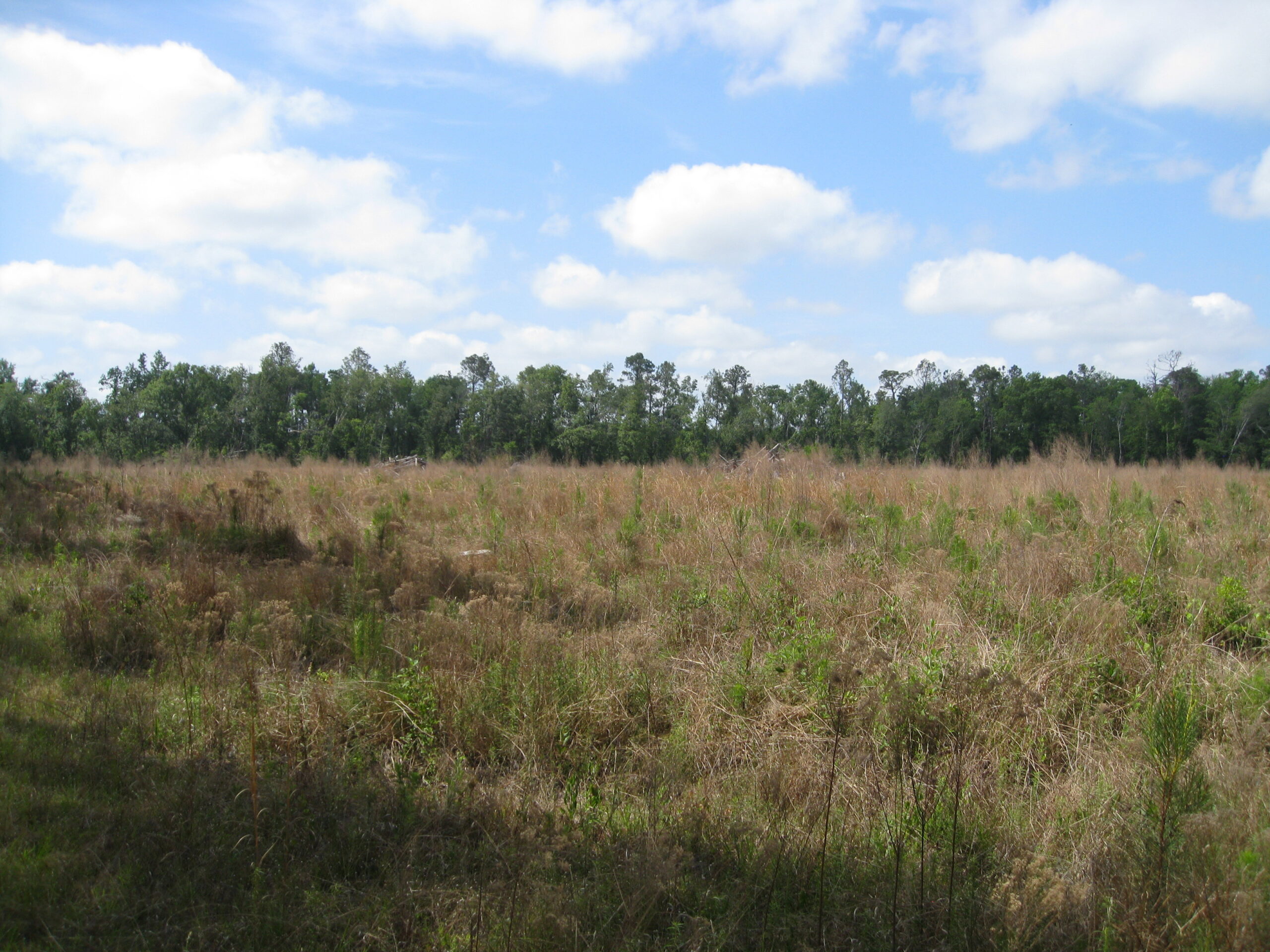 Tract image