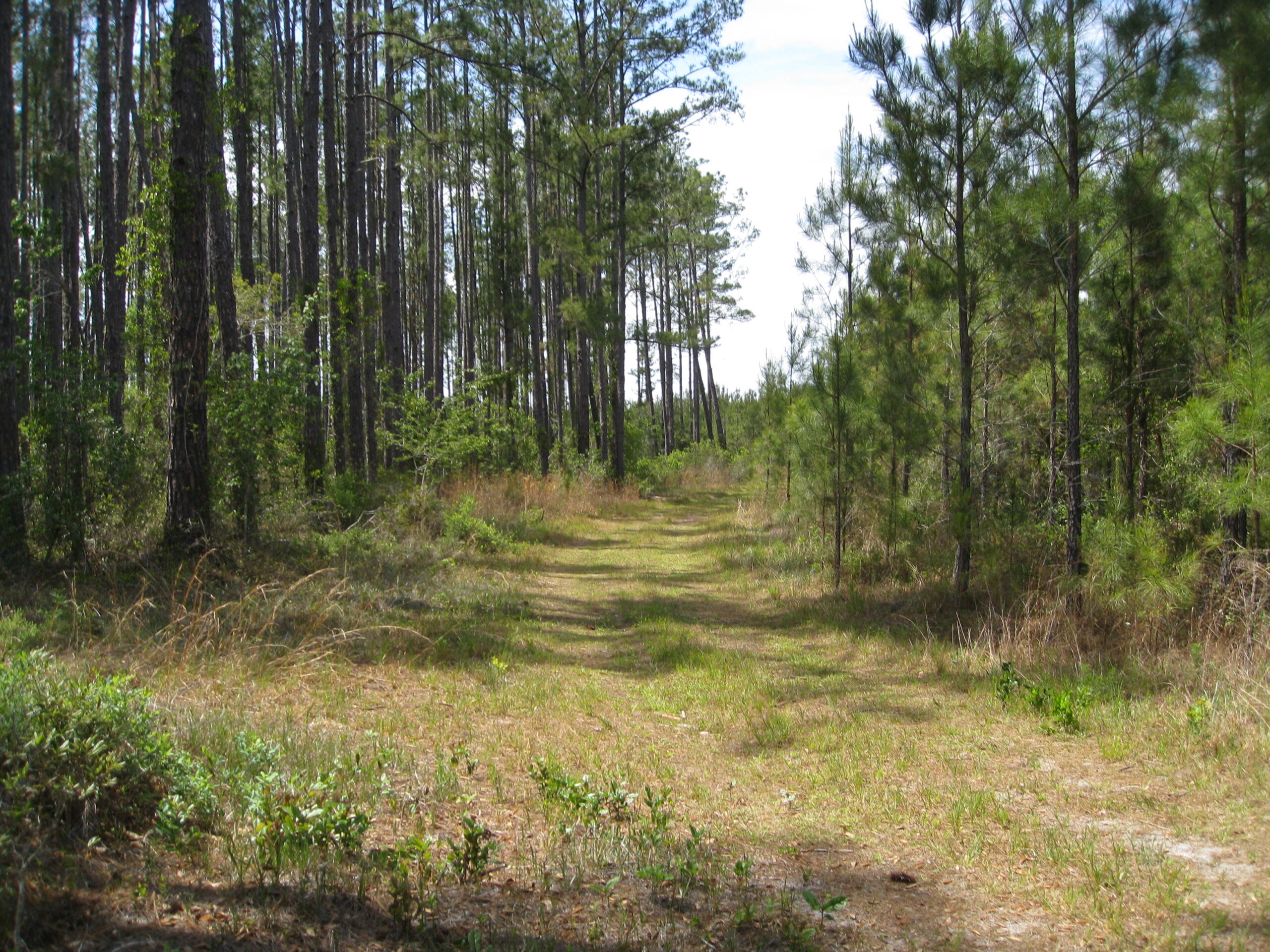 Tract image